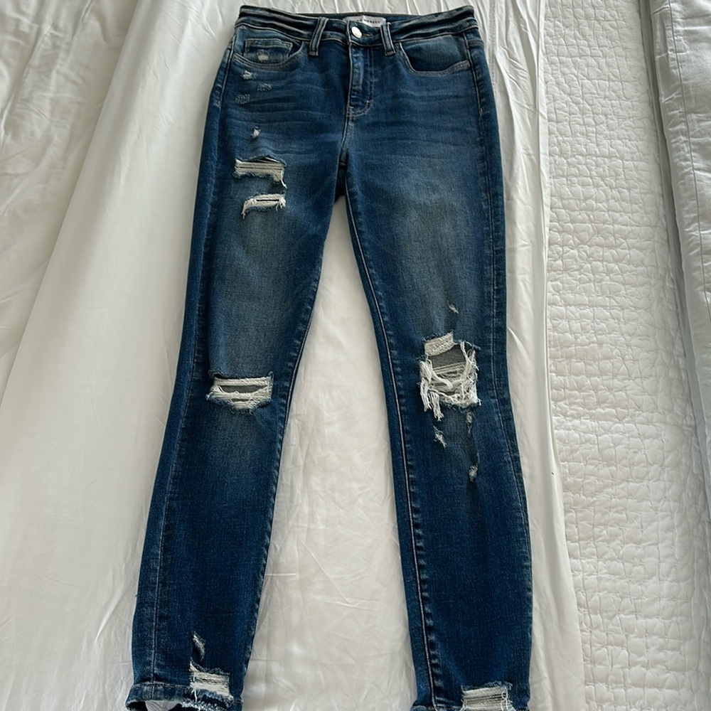 Flying Monkey - image 1